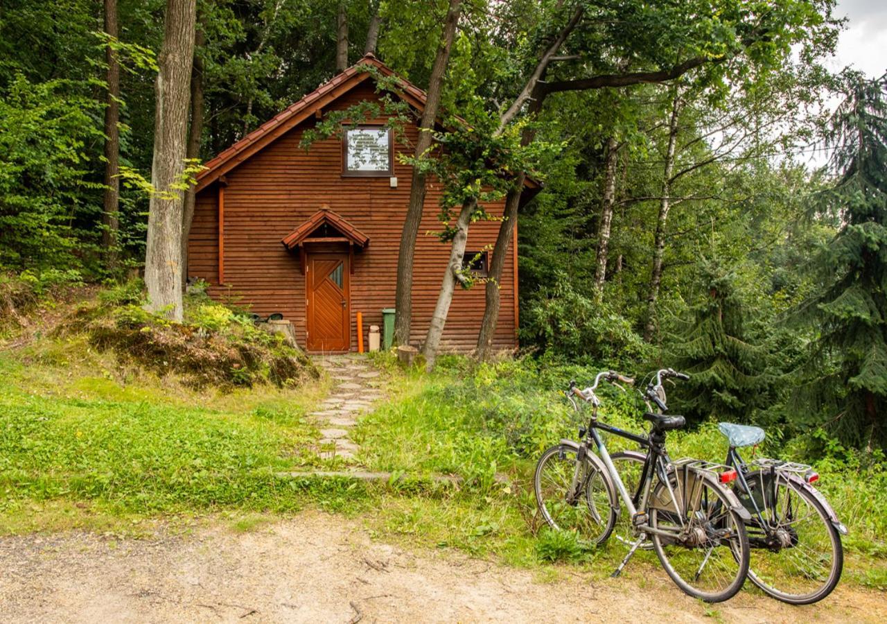 Cezar Naturyzm Bielsko-Biała Esterno foto